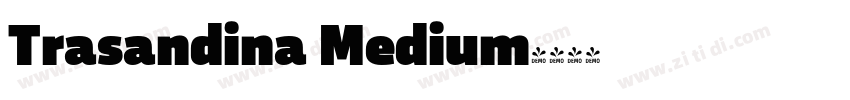 Trasandina Medium字体转换